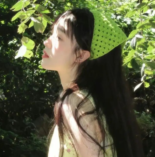 飞越黄昏